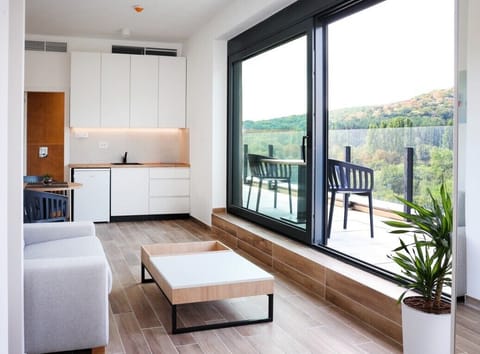 Standard Studio Suite | Living area | 40-inch LED TV with digital channels