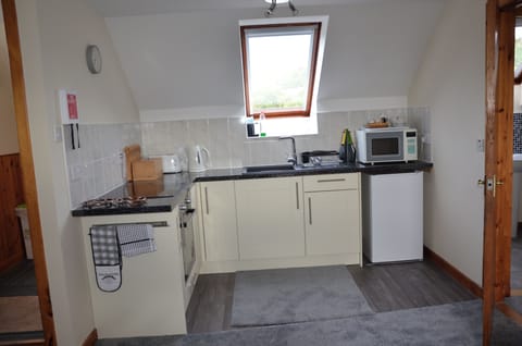 Apartment | Private kitchen | Fridge, microwave, oven, stovetop