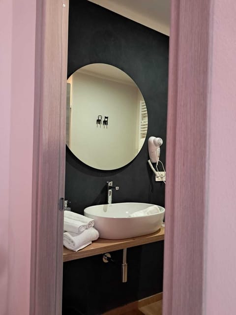 Basic Room | Bathroom | Hair dryer, towels, soap, shampoo