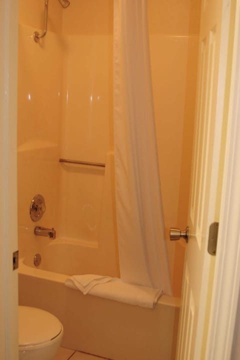 Combined shower/tub, free toiletries, hair dryer, towels