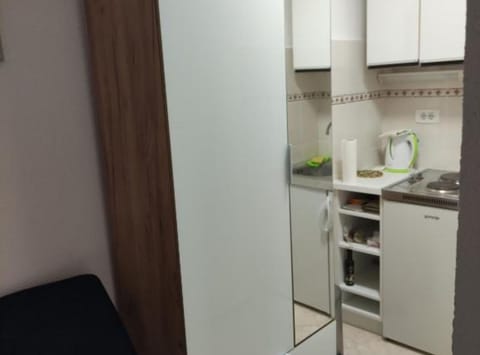 Studio (Studio Apartment Sineva) | Private kitchen | Fridge