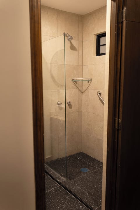 Deluxe Double Room | Bathroom | Shower, hair dryer, soap, shampoo