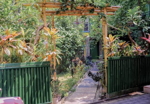 Garden view