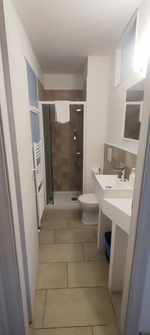 Standard Double Room | Bathroom | Hair dryer, towels, soap, shampoo