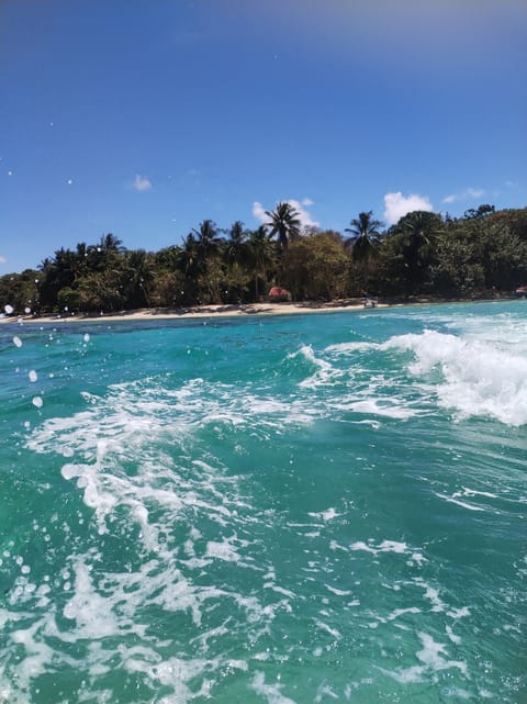 Beach shuttle