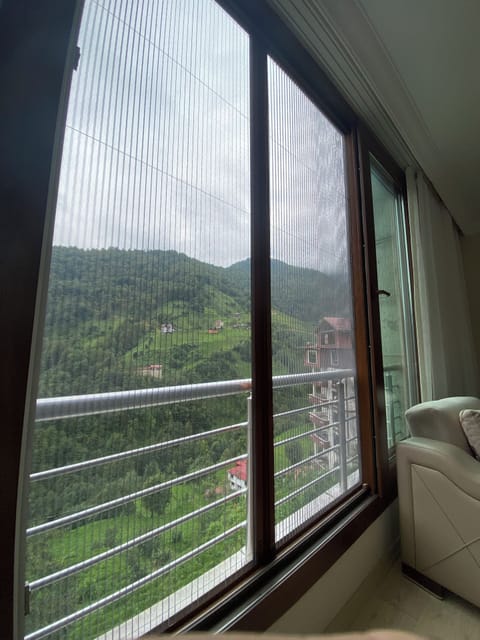 Basic Apartment, Balcony, Mountain View | Living room