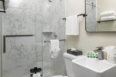 Comfort Room, 1 Queen Bed, Non Smoking | Bathroom | Shower, hair dryer, towels, soap