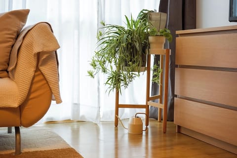 Deluxe Apartment | Living room
