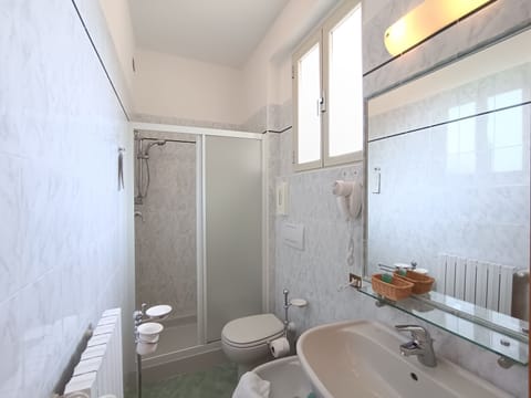Basic Single Room | Bathroom | Shower, hair dryer, towels, soap