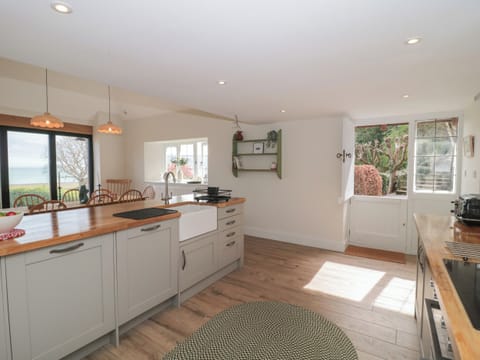 Fridge, dishwasher, electric kettle, toaster