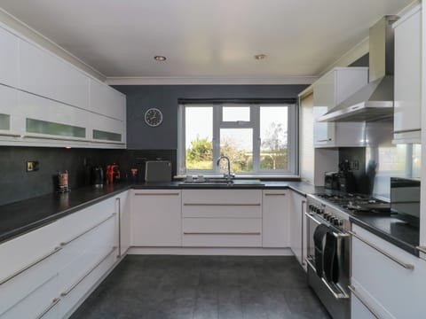 Fridge, dishwasher, electric kettle, toaster