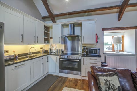 Fridge, dishwasher, electric kettle, toaster