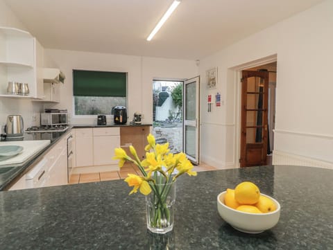 Fridge, dishwasher, electric kettle, toaster