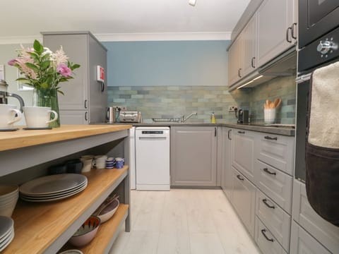 Fridge, dishwasher, electric kettle, toaster