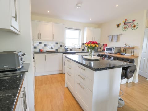 Fridge, dishwasher, electric kettle, toaster