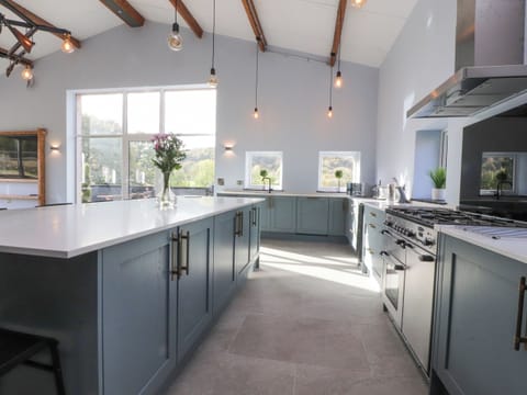 Fridge, dishwasher, electric kettle, toaster