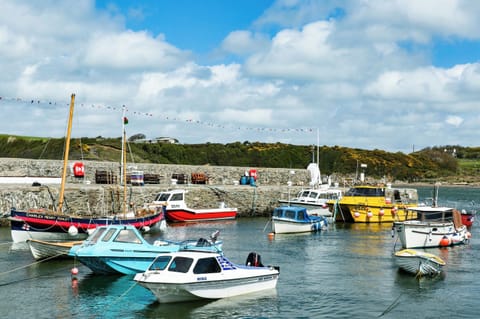 Cottage | Marina
