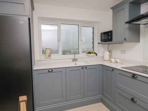 Fridge, dishwasher, electric kettle, toaster