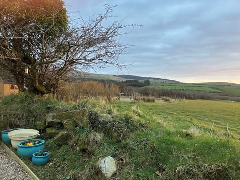 Cottage | Property grounds