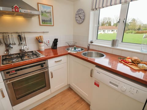 Fridge, dishwasher, electric kettle, toaster