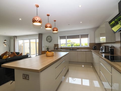 Fridge, dishwasher, electric kettle, toaster