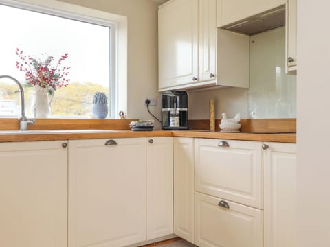 Fridge, dishwasher, electric kettle, toaster