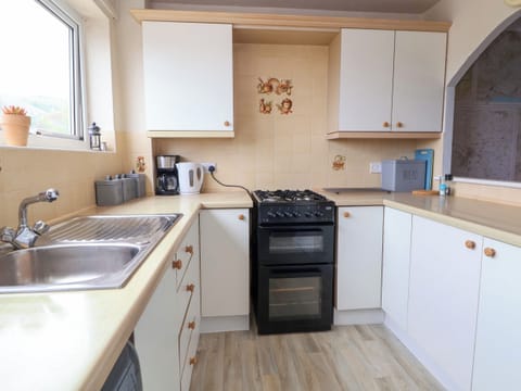 Fridge, dishwasher, electric kettle, cookware/dishes/utensils