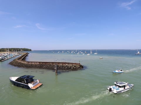 Cottage | Marina