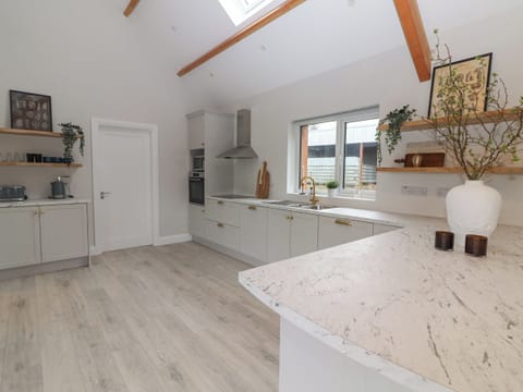 Dishwasher, electric kettle, cookware/dishes/utensils