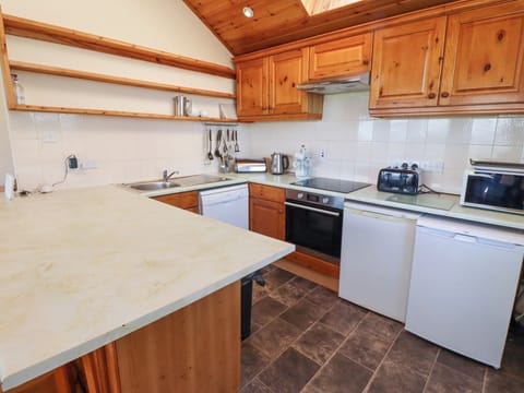 Fridge, dishwasher, electric kettle, toaster