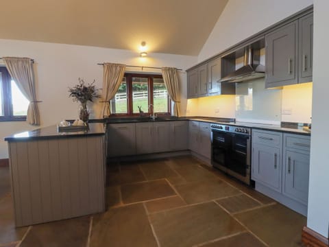 Fridge, dishwasher, electric kettle, cookware/dishes/utensils