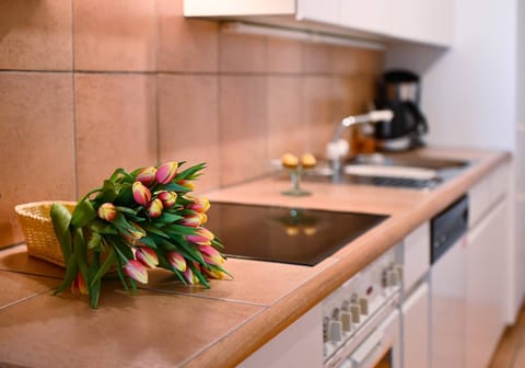 Apartment, 1 Bedroom, Balcony, City View | Interior