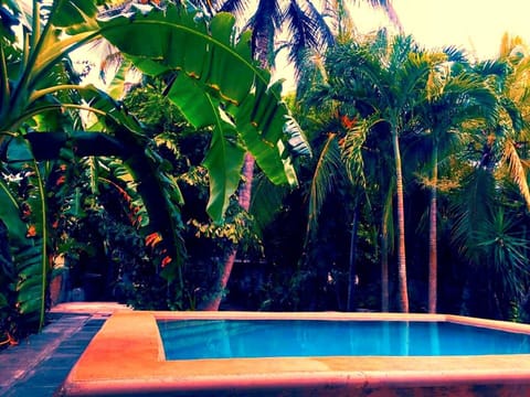 Outdoor pool, pool umbrellas