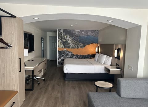 Studio Suite, 1 King Bed, Non Smoking | Down comforters, pillowtop beds, desk, laptop workspace