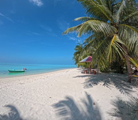 Beach nearby, white sand, free beach cabanas, beach towels