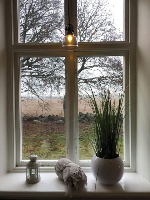 Premium Double Room, Park View | WiFi (free), individually decorated, individually furnished