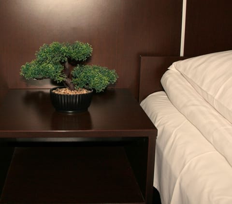 Classic Single Room, 1 Large Twin Bed, Non Smoking | Desk, cribs/infant beds, free WiFi, bed sheets