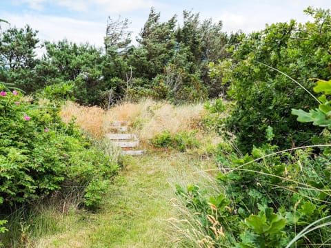 House | View from property