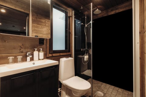 Shower, hydromassage showerhead, designer toiletries, hair dryer