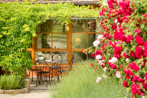 Apartment, 2 Bedrooms (Giotto) | Terrace/patio