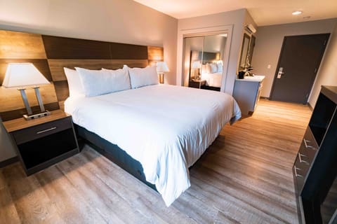 Deluxe Room, 1 King Bed, Refrigerator & Microwave | Premium bedding, laptop workspace, soundproofing, free WiFi