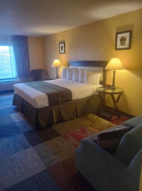 Deluxe Room, 1 King Bed | Free WiFi