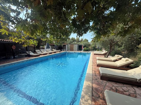 Outdoor pool, open 8:00 AM to 9:00 PM, sun loungers