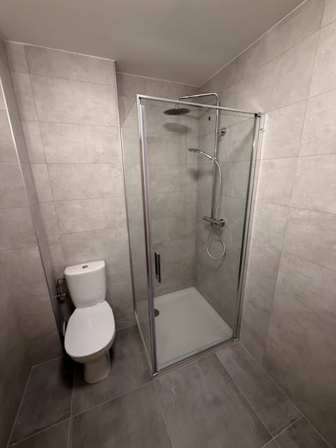 Deluxe Double Room | Bathroom | Shower, hair dryer, towels, toilet paper