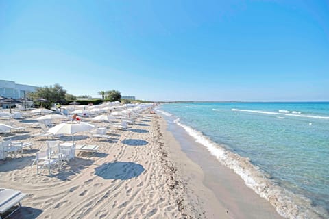 Private beach nearby, white sand, beach shuttle, beach bar