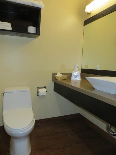 Free toiletries, hair dryer, towels