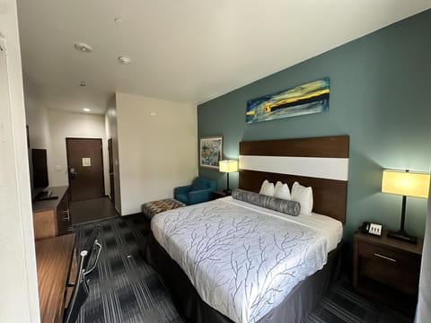 Standard Room, 1 King Bed, Non Smoking, Refrigerator & Microwave | Desk, iron/ironing board, free cribs/infant beds, free WiFi