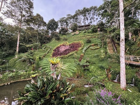 Loft, Balcony, Garden View | Garden view