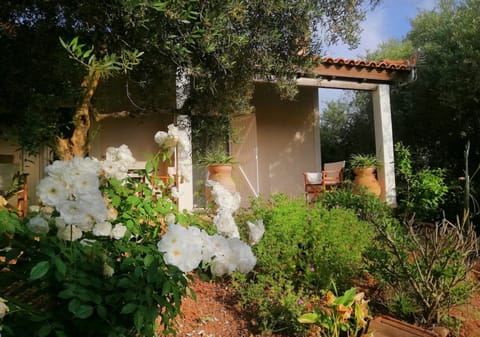 House | 2 bedrooms, desk