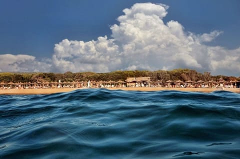 House | 2 bedrooms, desk